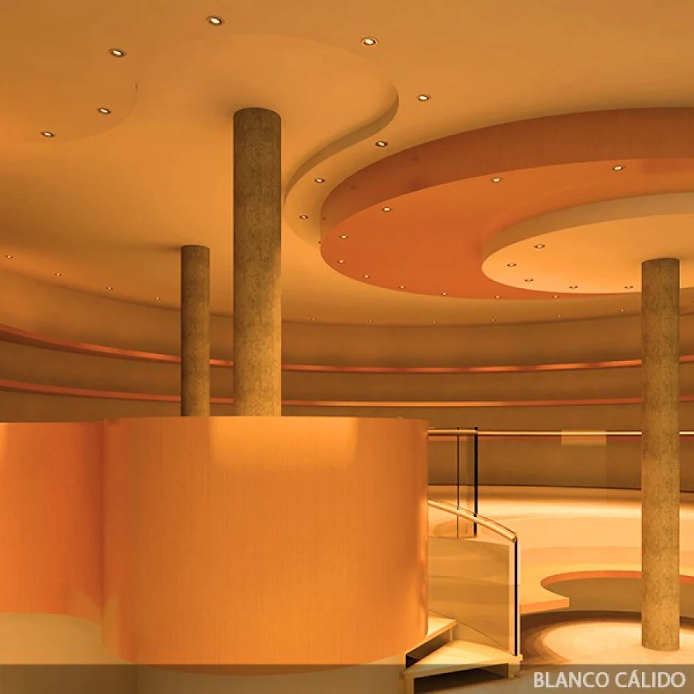 Imagen del producto 7